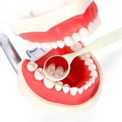 10PCS Dental Double Sided Anti-fog Mouth Mirror Oral Mirrors DL