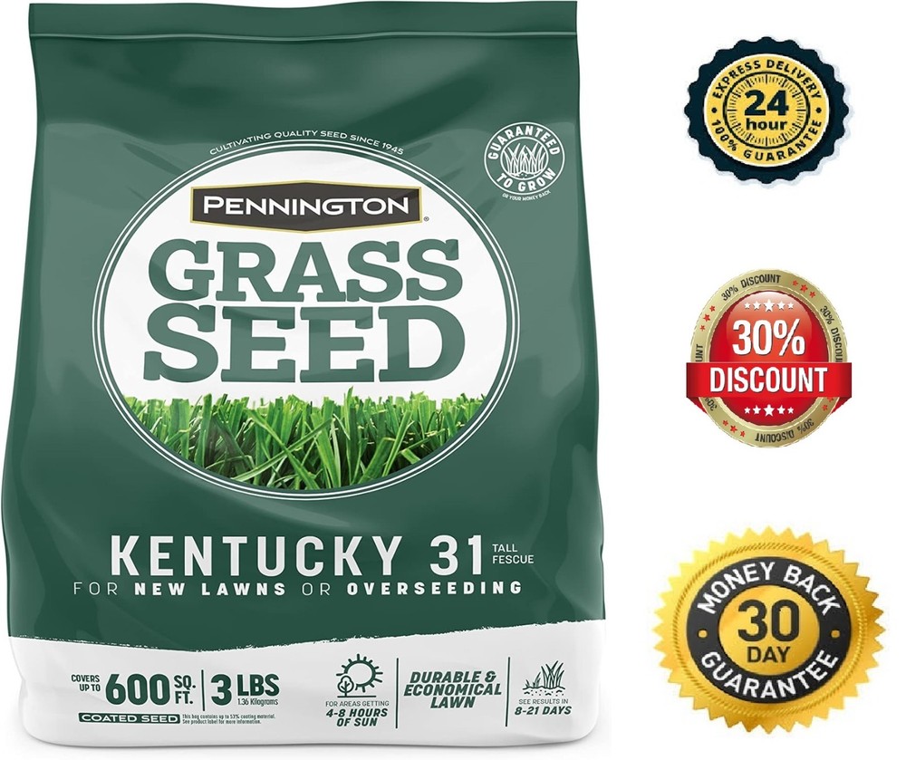 Pennington Kentucky 31 Tall Fescue Penkoted Grass Seed 3 lb 3 LB, Green