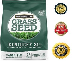 Pennington Kentucky 31 Tall Fescue Penkoted Grass Seed 3 lb 3 LB, Green