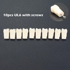 Kilgore NISSIN 200 Dental Typodont Individual Teeth Replacement for 32 Teeth