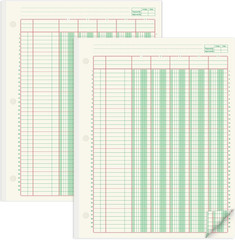 2 Pads 100 Sheets Columnar Analysis Pad 3 Hole Punch Accounting Ledger Book 8-1/