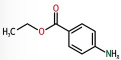 Benzocaine for Research & Development