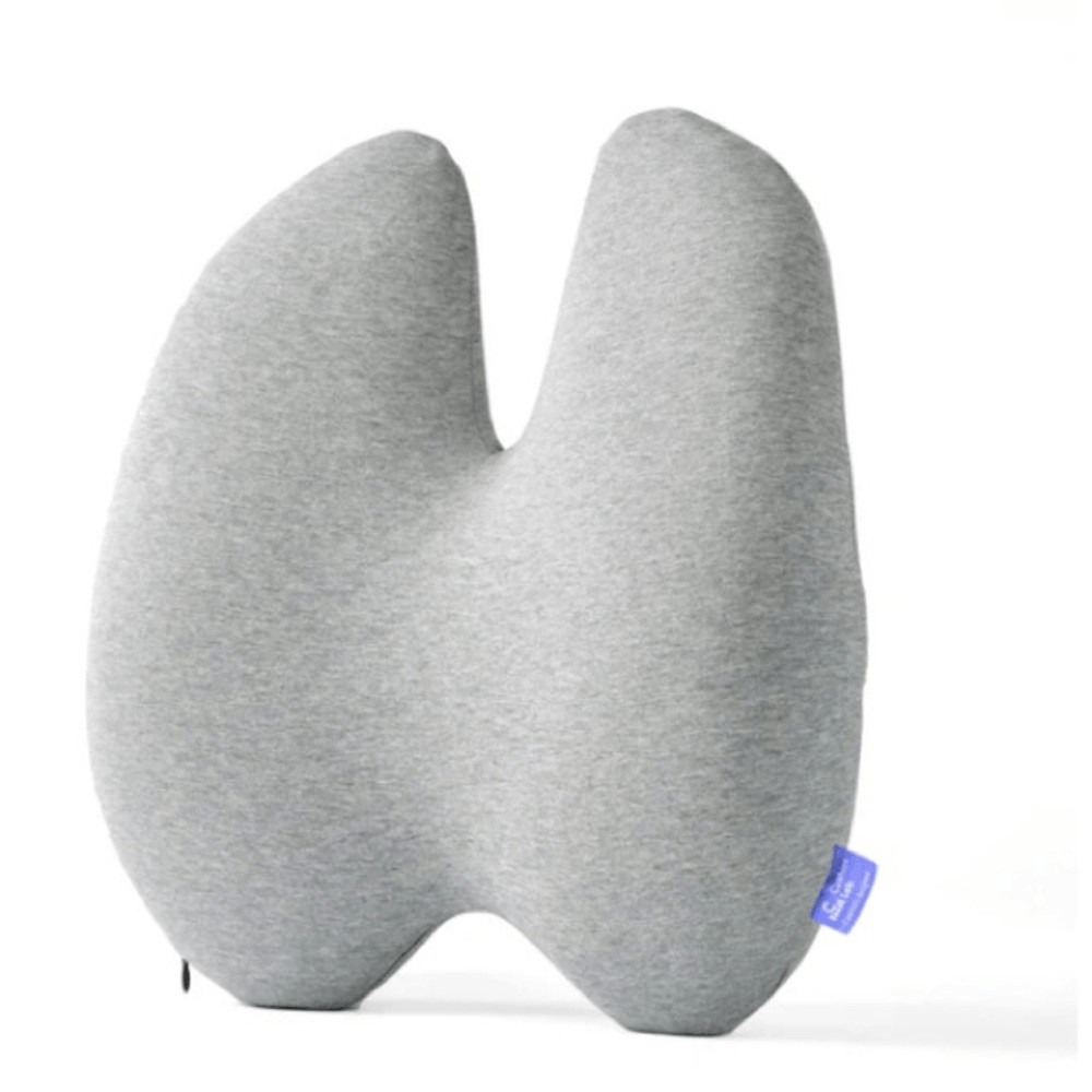 Cushion Lab Extra Dense Lumbar Pillow – Light Grey, NWOT Open box
