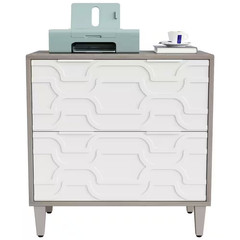 Cindy 2-Drawer White Gray Wood 31.5 In. W Lateral File Cabinet A4/Letter/Legal S