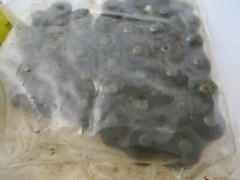 FLEXON B62610534 50-1 CHAIN 2′