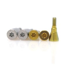 Dental Healing Abutment Cover Screw for ITI, Hiossen, Nobel, NC/RC, Regular/Mini