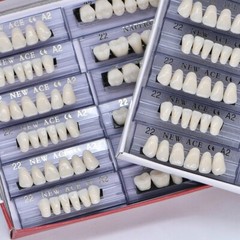 168PCS Acrylic Resin Denture Dental Upper Lower Shade A1 A2 A3 Teeth Set USA