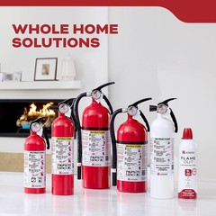 Fire Extinguisher for Vehicles Cars Trucks Single-Use 5BC ‎3.2 pounds