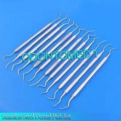 12 PIECE STAINLESS STEEL DENTAL PICK SET – EXCELLENT QUALITY BRAND NEW PR-0089