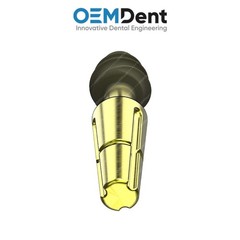 Dentine Compressive Monoblock Fixture Titanium Sterile SLA Surface