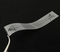 Dental Composite Flexible Fiber Strip Glass Fiber Splint Ribbond Ribbon USA