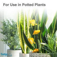 Safer Brand Home SH5026 Houseplant Sticky Stake Insect Traps No Size, Yellow