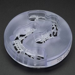 NOBILCAM Flexible Disc Block Nylon Resin Clear Pink Shade 98mmx20mm/25mm for Lab
