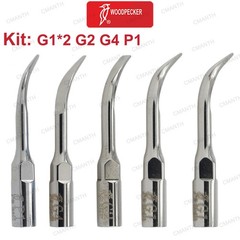 Woodpecker DTE Dental Ultrasonic Scaler Handpiece LED Light Fit EMS NSK SATELEC