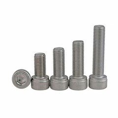 Fine Thread Socket Head Cap Screws Allen Bolt M6 M8 M10- A2 304 Stainless Steel