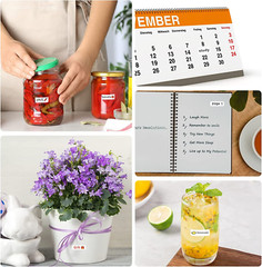 1680 Pcs Matte White Labels Blank Stickers Small Sticky Labels Removable Price