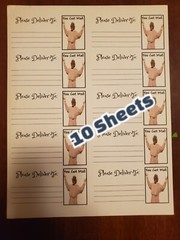 10 Sheets please deliver to address shipping labels (PDT) pen pal, mail