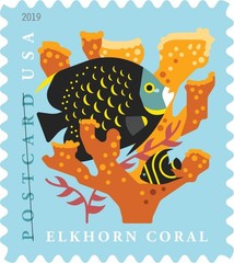 United States Postal Service Coral Reefs Postcard 5 Sheets Of 20 First Class