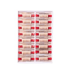 Dental Acrylic Resin Denture Teeth False DIY Full Set Anterior Posterior A1A2A3