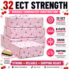 12x10x4 Cherry Print Shipping Boxes 32 ECT Gift Mailer Boxes Choose Qty