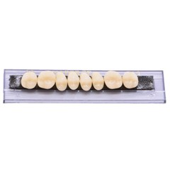 168Pcs Dental Acrylic Resin Denture A3#23 Shade Full Upper Lower False Teeth USA