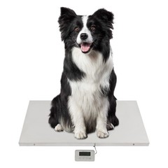 660LBS Shipping Weight Scale HD LED Display Scale Pet Floor Scale Parcel Scale