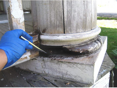 Liquidwood 2-Pint Epoxy Wood Hardener & Consolidant – Strong & Durable Repair
