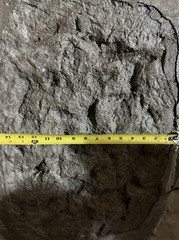 Gabbro Stone Concrete Stamp- Realistic Rock Texture
