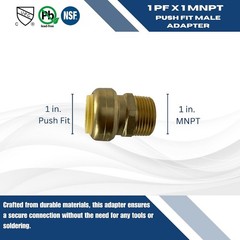 Push Fit Adapter 1 Inch Male NPT Copper Stainless Steel Plumbing Fitting