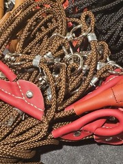 12 Tie Cords Calzas Poultry Botanas Chicken Gallos
