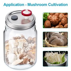 12pcs Liquid Culture Mason Jar Lids Regular Mouth for Mycology Rubber Stopper