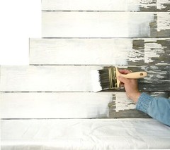Zinsser Peel Stop Binding Sealer 32 Oz Water Based Interior Exterior Paint Fix