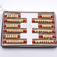 Acrylic Resin Denture Teeth VITA A2 – 23 Upper Lower Oral Dental 3 Set of 84*1
