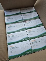 2000 Mask 3-Ply Adult Disposable Face Masks Earloop Breathable Bulk Case