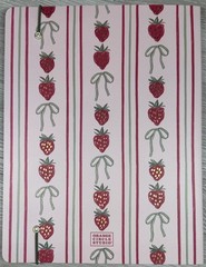2027 Orange Circle Studio Monthly Planner 17 Month Pink Red Strawberry MEDIUM