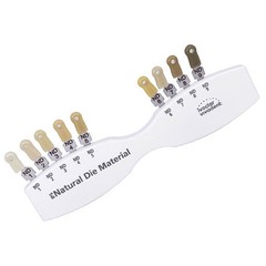 Ivoclar Vivadent Dental Shade Guide A-D 20 IPS Natural Die ND1-9 Bleach Teeth