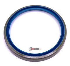 INA GR35x42x4 Oil Seal 35x42x4 mm