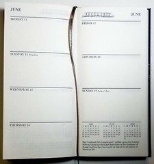 2022 Weekly/Monthly Sundial or Smithsonian pocket planners, 3 1/4 in x 6 1/2 in