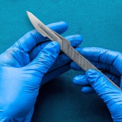 10 Disposable Scalpel # 23 Sterile Plastic Handle Taxidermy & Dissections Hi-Q