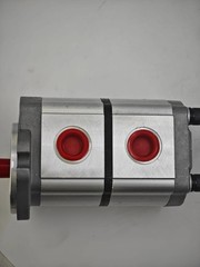 New PGP51088G3LP Fits AGT Two-Section Hydraulic Pump for Skid Steer Loader KTT23