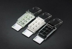 SPL Cell Culture Chamber slide, 8 wells, Glass slide, PS frame, PP holder 12/Pck