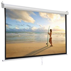 120” Projector Screen Diagonal TV Screen Manual Matte HD Movie Theater 1:1