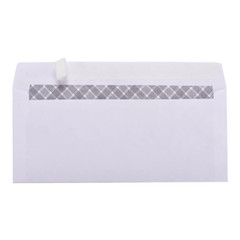 Self Sealing Letter Envelopes 250 #10 Security Business Peel Strip White Mail
