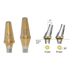 US Dental 17° Angled Anatomic Abutment Mini Regular Ø4.5/5.0mm Fit Hiossen Oss