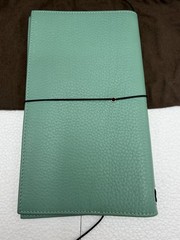 Gillio Firenze Giramondo Regular Epoca Aqua Leather TN Cover Box Bag 275/02-810