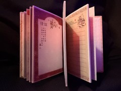 Beautifully Illustrated Chinese Blank Journal CL85301