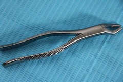 GERMAN 10 GERMAN EXTRACTING FORCEPS EXTRACTION DENTAL INSTRUMENTS-A+ QUALITY