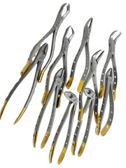 Premium German Dental Tooth Extracting Forceps Extraction Dental Instruments