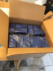 Spine Board Straps – Disposable Backboard Straps 20 Packs of 3 – Blue 55″L x 2″W
