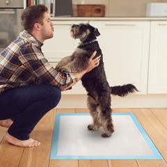 50Pcs Per Set Dog Training Pads Puppy Pee Pads Cat Wee Mats Potty-Train 24in X 1